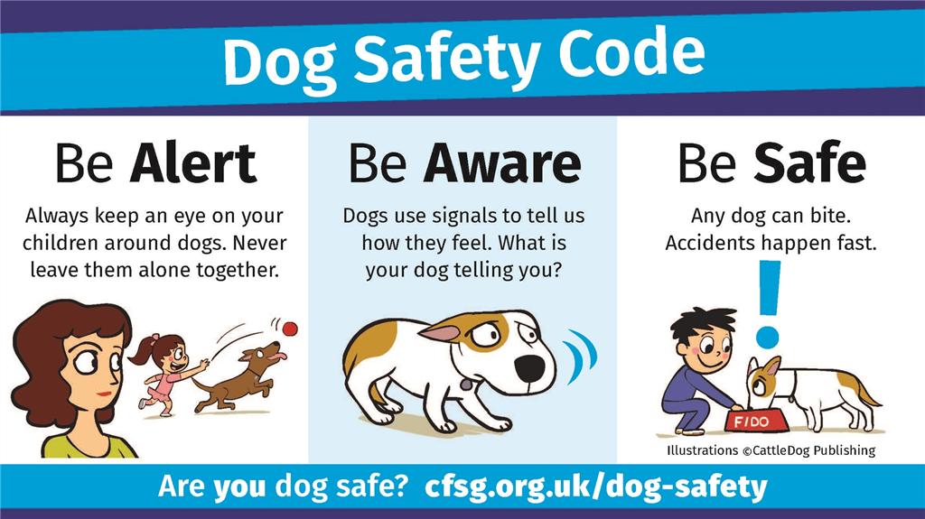 Be dog safe flyer