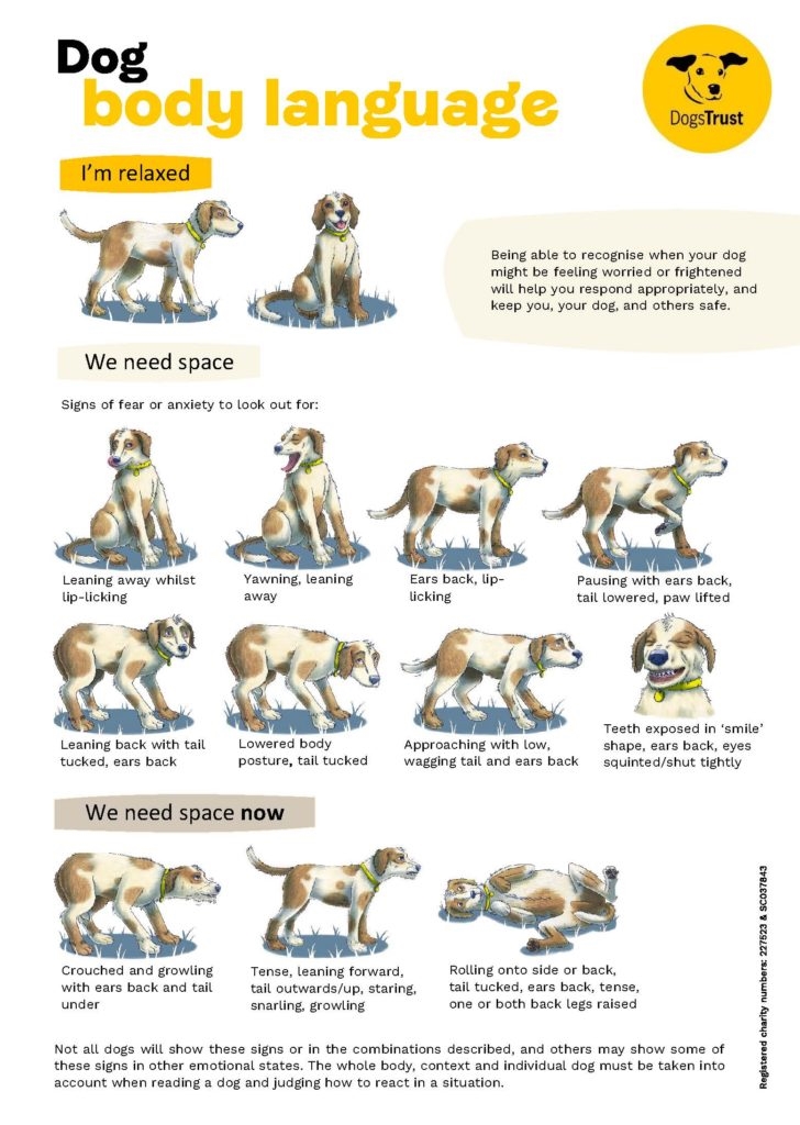 Dogs Trust Body Language poster