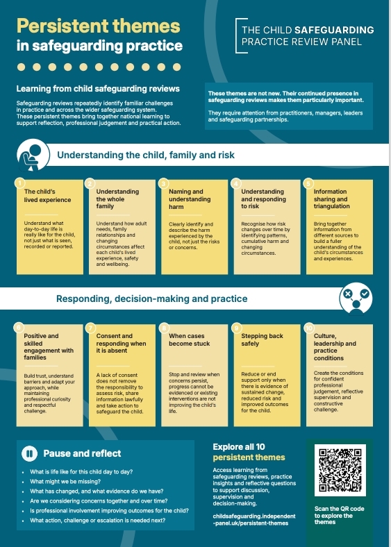 POSTER: Persistent Themes in Safeguarding Reviews